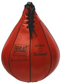 Everlast Speed Bag